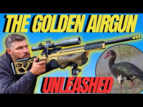 Видео: GOLDEN AIRGUN UNLEASHED I FX DRS PRO AIRGUN HUNTING I ОХОТА НА ДАЛЬНИЕ ДИСТАНЦИИ С ПНЕВМАТИЧЕСКОЙ...