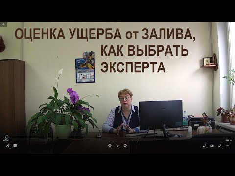 Видео: Оценка ущерба от залива, как найти эксперта Выпуск №66 Спроси у эксперта