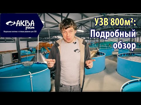 Видео: Бизнес по выращиванию рыбы в установках замкнутого водоснабжения #экология #агробизнес #инвестиции