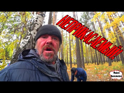 Видео: НЕПРИКАСАЕМЫЙ БУЛЬДОГ / 306 серия (18+)