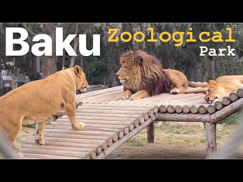 Видео: Baku Zoological park | Zooloji park | Зоопарк в Баку.