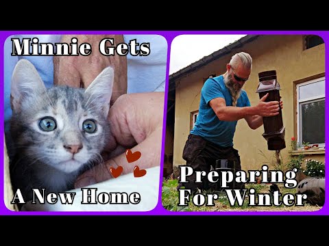 Видео: Оливеру нужен ветеринар / Очистка и зачистка дымохода Печки / Минни уходит от нас / Наша болгарск...