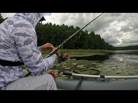 Видео: ЦАРСКАЯ РЫБА в диком озере!! Рыбалка на линя с поплавком 
