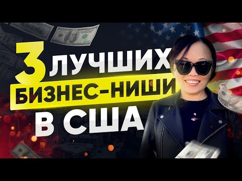Видео: ТРИ ЛУЧШИЕ НИШИ БИЗНЕСА В США В 2023 и 2024 ГОДУ! ЧЕМ ЗАНИМАТЬСЯ В АМЕРИКЕ ПРЕДПРИНИМАТЕЛЮ?