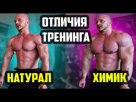 Видео: Отличия тренинга химика и натурала | Выкладываясь в 0 - получаешь тоже 0 - закономерность новичка