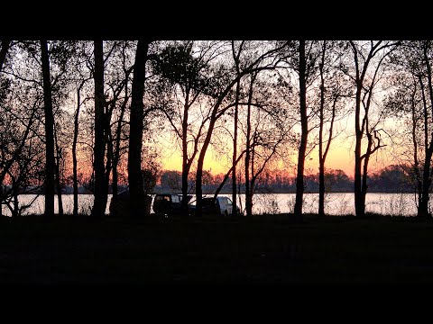 Видео: ДУШЕВНАЯ РЫБАЛКА на озере ОКТЯБРЬСКОЕ-3, Карповая сессия в период нерестового запрета, апрель 2023