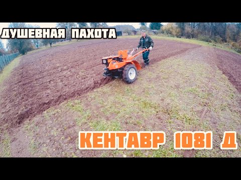 Видео: ПАХОТА на тяжелом Мотоблоке Кентавр 1081 д