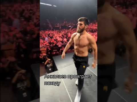 Видео: Анкалаев и Переира кто сильней /титульный бой #sports #motivation
