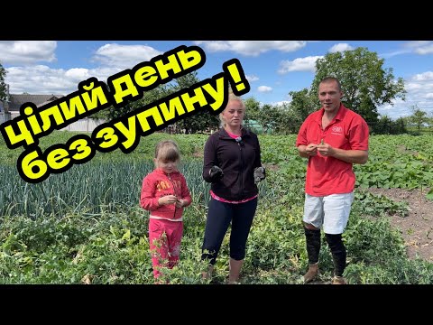 Видео: Коса гуде, горох летить, Yamaha чекає!