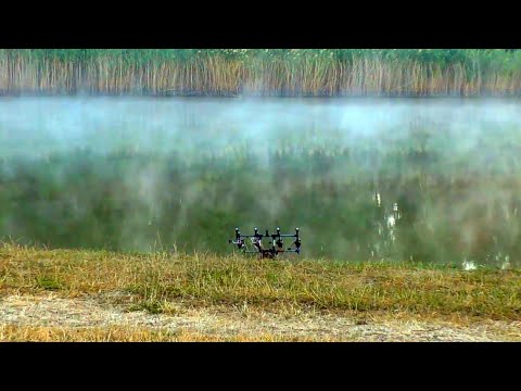 Видео: Гуровка. Один на один с водоёмом