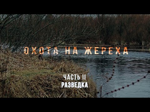 Видео: ОХОТА НА ЖЕРЕХА | ЧАСТЬ II РАЗВЕДКА