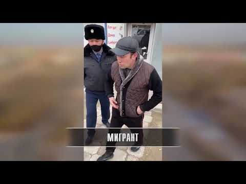 Видео: ДАБЫЛ ДАБЫЛ 17 02 2021Ж