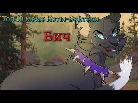 Видео: Топ 10 меме Коты-Воители: Бич