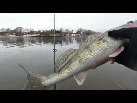 Видео: Москва-река, ЗИМНИЙ СПИННИНГ! БОНУС в конце рыбалки! ДЖИГ и Воблеры ночью! Рыбалка на спиннинг!