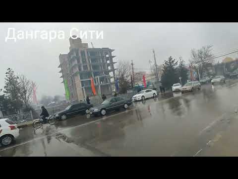 Видео: Н Дангара 29 02 2024 г