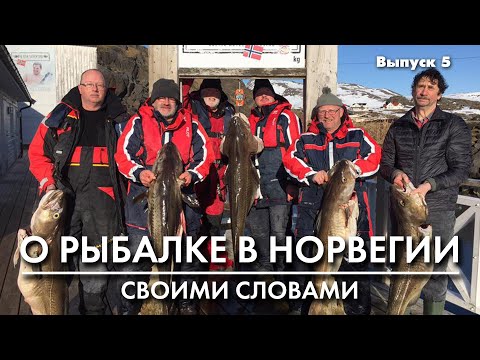 Видео: Рыбалка в Норвегии.  Оснастки. Ставки (продолжение)