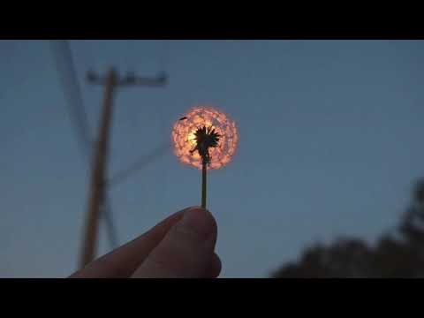 Видео: Нервы - Вороны(акустика)