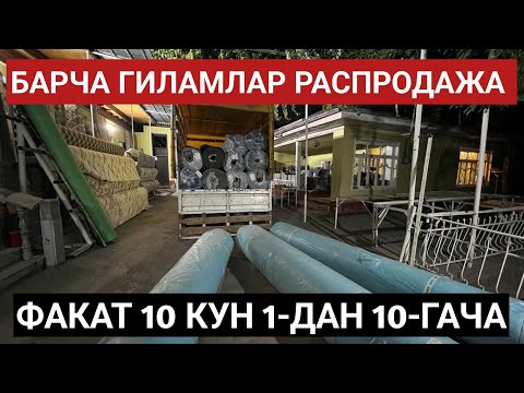 Видео: Gilam narxlari 2025 Гилам нархлари 2025 // Optim narxlarda gilamlarni obzor qilamiz // 50 073 25 74