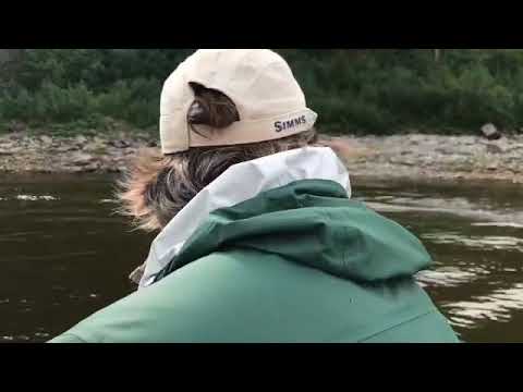 Видео: Рыбалка на тайменя. Река Северная 2017 год.