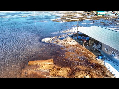 Видео: Қар еріп су жиналған сайлар.