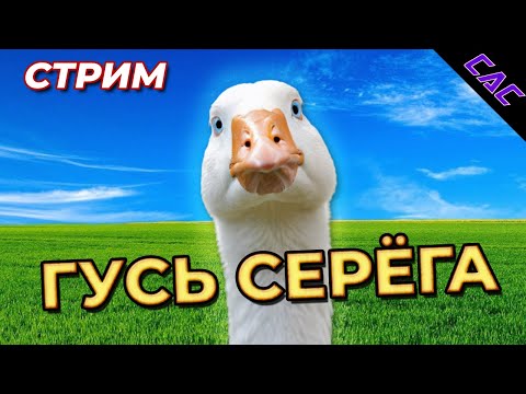 Видео: Душим Гусём | Стрим #UntitledGooseGame