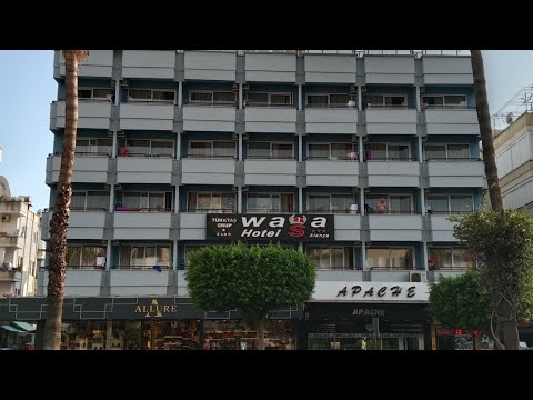 Видео: WASA 3*.  Алания 2024. Турция. Обзор отеля