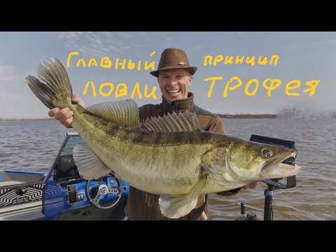 Видео: Судак на 10600. Подход к трофею, основной принцип.