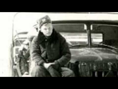 Видео: КПП КУШКА