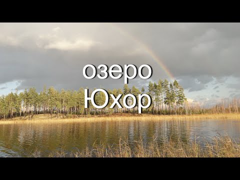 Видео: Озеро Юхор. Жерлицы с берега. Красноперка на удочку. Нам попался Птеродактель!