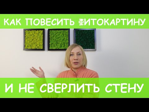 Видео: Как повесить фитокартину и не сверлить стену.