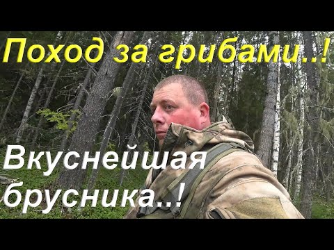 Видео: Жизнь в деревне/Нашёл отцовские сапоги/Поход за грибами/Образцовая делянка/Вкуснейшая брусника