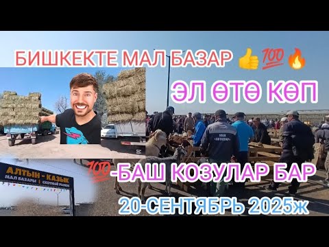 Видео: МАЛ БАЗАР БИШКЕК АЛТЫН КАЗЫК ПРИГОРОДНЫЙ МАЛ БАЗАР 20-СЕНТЯБРЬ 2025ж