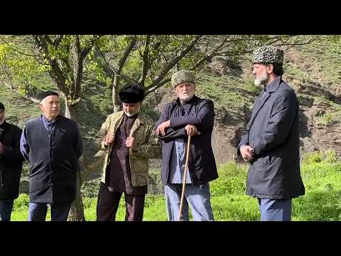 Видео: Поалонкой посетили Пялинг на день башен. Обсуждение насущных вопросов.