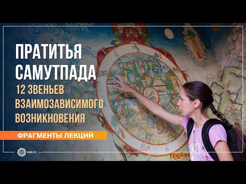 Видео: Пратитья Самутпада: как всё связано со всем? 12 звеньев взаимозависимого происхождения. Е. Андросова