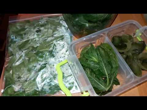 Видео: Заморозка МЯТЫ.