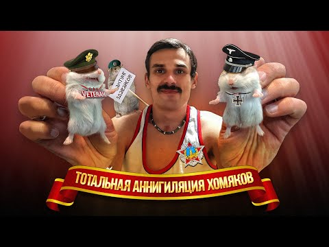 Видео: ВЕСЕЛЫЕ ХОМЯКИ ЛОВЯТ КУМУЛЯТИВЫ | WARTHUNDER