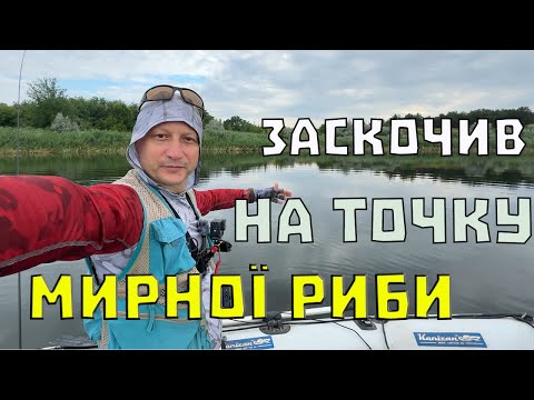 Видео: Секретний пошук РИБИ! Спінінгова риболовля на силікон! 2025