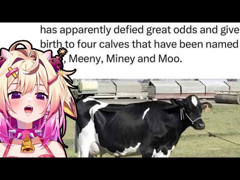 Видео: Эти мемы действительно смешные!? Реакция Rosiebellmoo на мемы в чатах