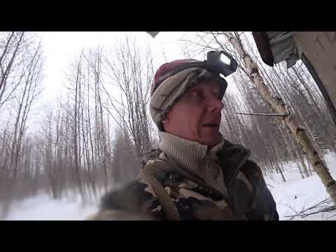 Видео: Вновь на охотничьей тропе!