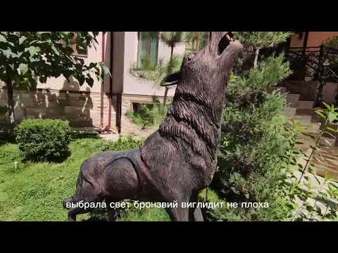 Видео: Скульптура Волка из арт бетон для зоны отдыха