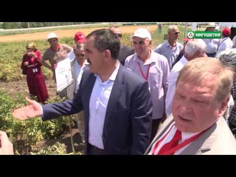 Видео: 21072017 СЕЛЬСКИЙ ЧАС ДЕНЬ ПОЛЯ