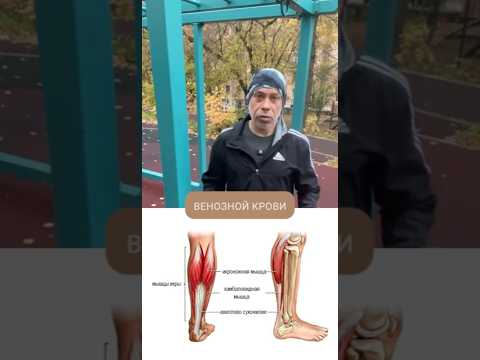 Видео: ТРЕНИРОВКА НА УЛИЦЕ🔥2 способа растяжки мышц ног #жаншоломицкий