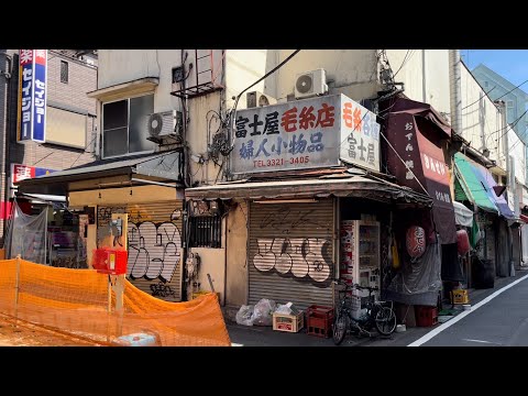 Видео: Прогулка по Токио Охара [4K HDR]