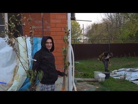 Видео: ВЛОГ🍁КУПИЛИ ДОМ// САЖАЕМ ДЕРЕВЬЯ // УТЕПЛЯЕМ // ЧИП И ДЕЙЛ