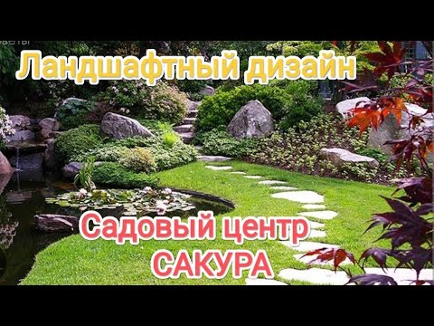 Видео: Ландшафтный дизайн садовый центр Сакура