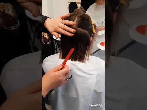 Видео: Стрижка квадратная линия