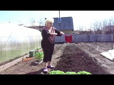 Видео: КАК ВЫРАСТИТЬ РАССАДУ НА ПРОДАЖУ? Часть 3 - подготовка грядки. Ольга Чернова.