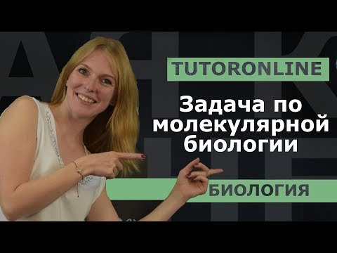 Видео: Биология| Задача по молекулярной биологии