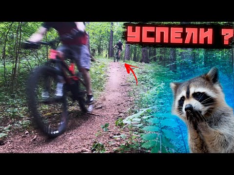 Видео: МТБ покатушка | XCO 3-й трейл #mtb #shimanomtb #bike #тренировка #bikelife