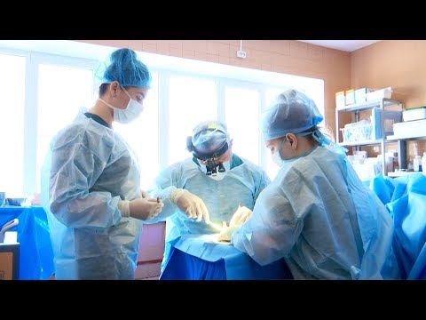 Видео: «Реанимация». Собака отгрызла женщине руку